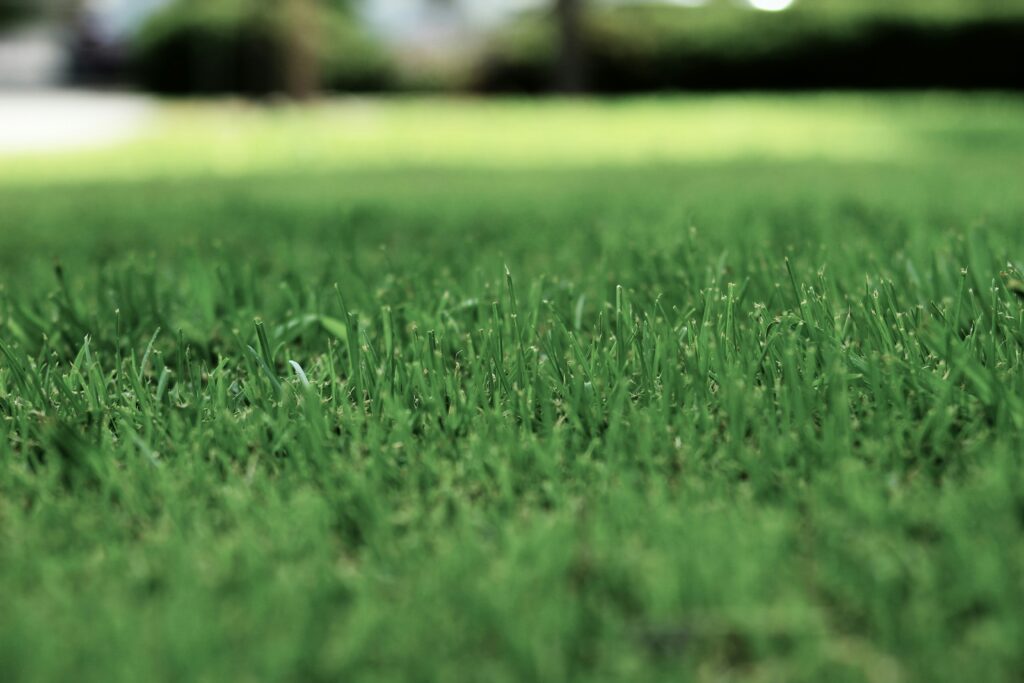 synthetic turf modern materials corporation hamden wallingford bloomfield connecticut